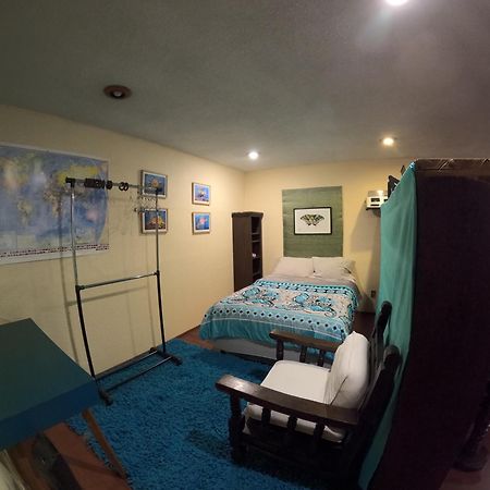 Neighbor Of Frida Khalo, Vintage Stay In Coyoacan Mexico By Eksteriør billede