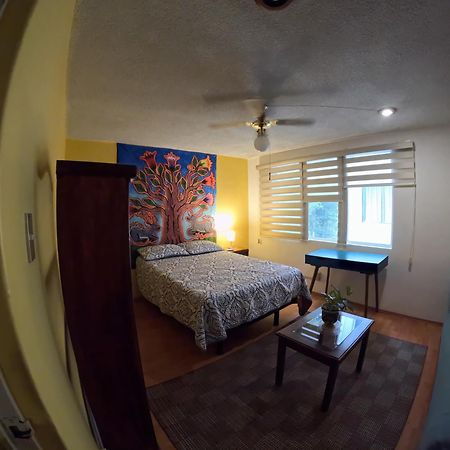 Neighbor Of Frida Khalo, Vintage Stay In Coyoacan Mexico By Eksteriør billede