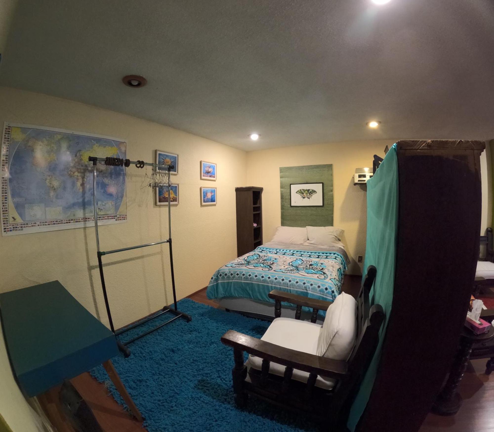 Neighbor Of Frida Khalo, Vintage Stay In Coyoacan Mexico By Eksteriør billede