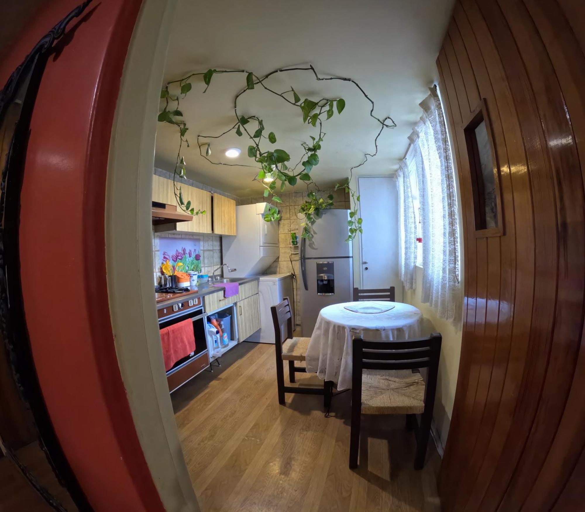 Neighbor Of Frida Khalo, Vintage Stay In Coyoacan Mexico By Eksteriør billede