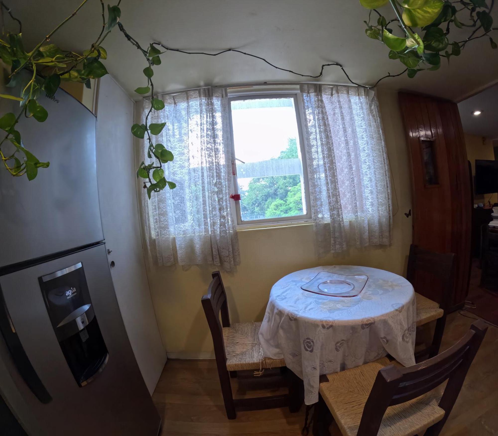 Neighbor Of Frida Khalo, Vintage Stay In Coyoacan Mexico By Eksteriør billede